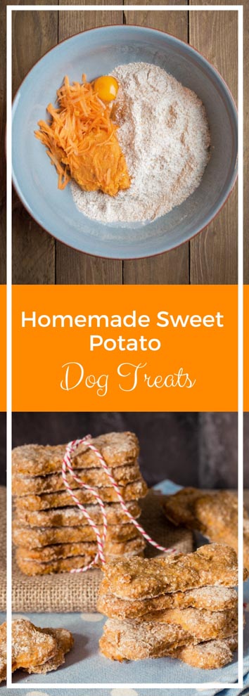 These homemade sweet potato dog treats contain only natural, healthy ingredients that your pup will LOVE! #dogtreats #homemadedogbiscuits #puptreats #sweetpotato | Recipe on thecookandhim.com