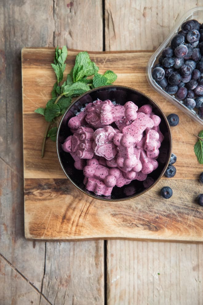 Blueberry Mint and Yoghurt Dog Treats - Just 4 ingredients for these super easy, all natural treats for your pup! Frosty fresh mint, yoghurt, blueberries and banana that your pup will LOVE | thecookandhim.com
