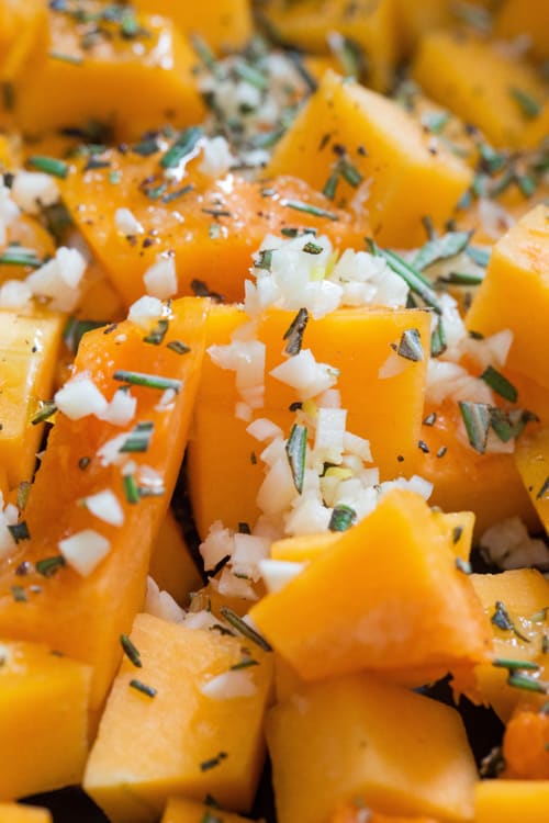 Rosemary & Garlic Butternut Squash with Halloumi | thecookandhim.com