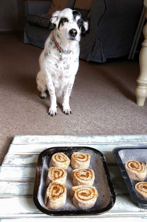 Vegan Cinnamon Swirl Buns cut rolls and Meg | thecookandhim.com