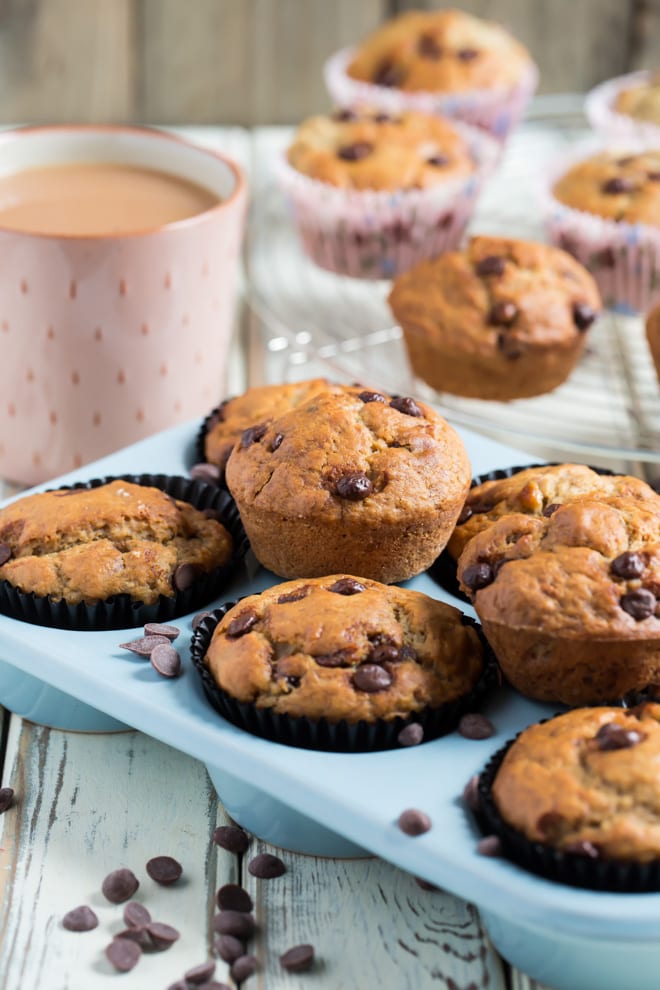 Chocolate Chip Muffins