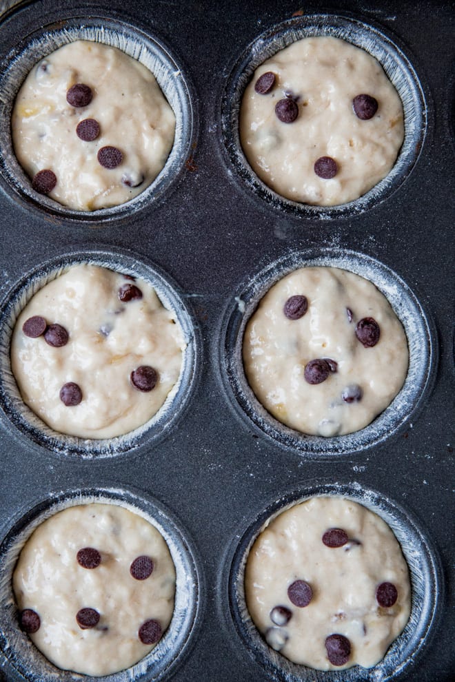 Chocolate Chip Muffins - Bakery style vegan muffins, loaded with chocolate chips! Perfect for breakfast, a delicious afternoon treat or an on the go snack! #veganrecipes #veganbaking #chocolatechipmuffins | Recipe on thecookandhim.com