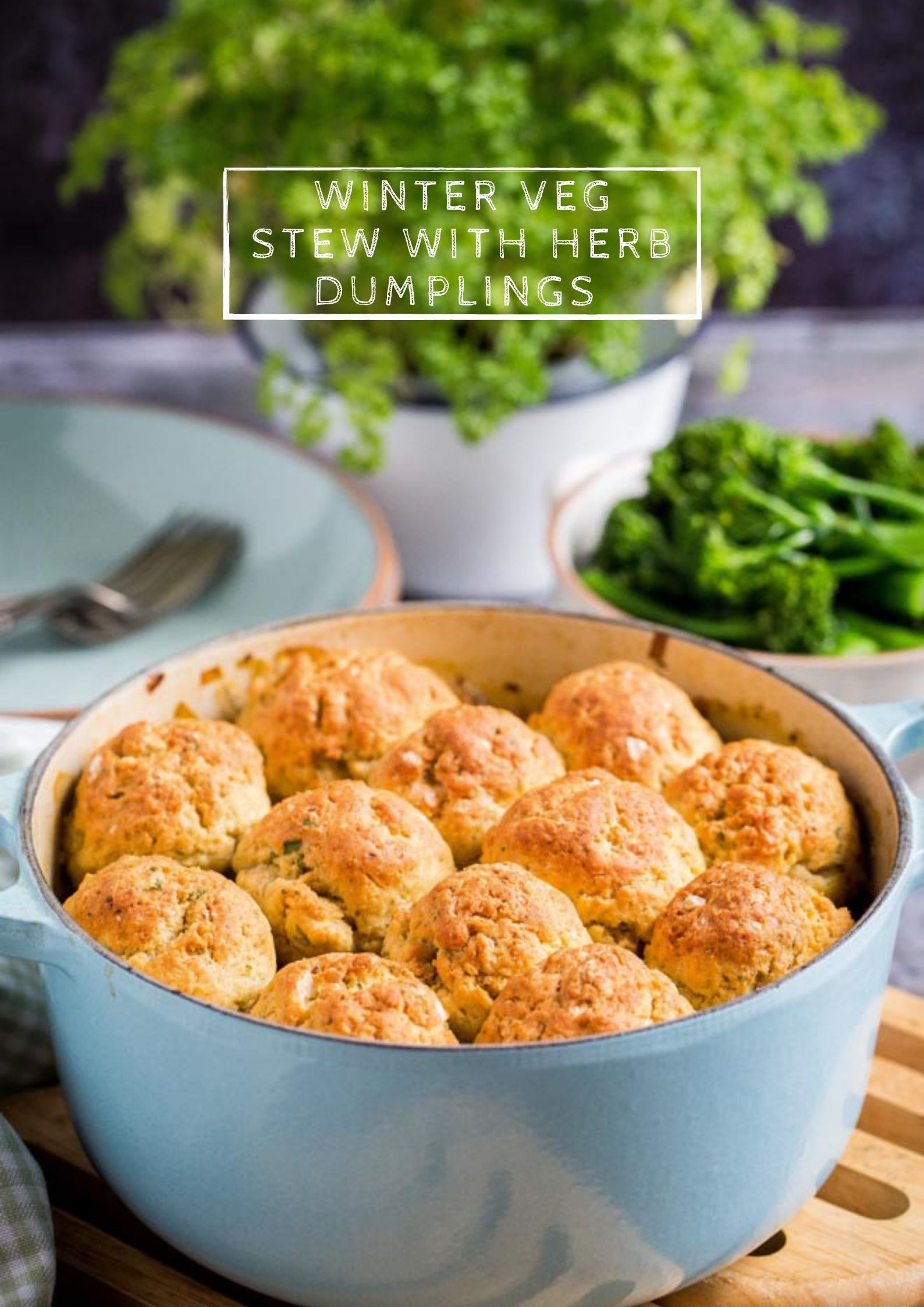 Hearty and delicious, this one pot vegetable stew topped with crisp, vegan and gluten free herb dumplings is the perfect winter comfort food! #vegetables #casserole #stew #veganrecipes #vegandumplings #dumplings | Recipe on thecookandhim.com