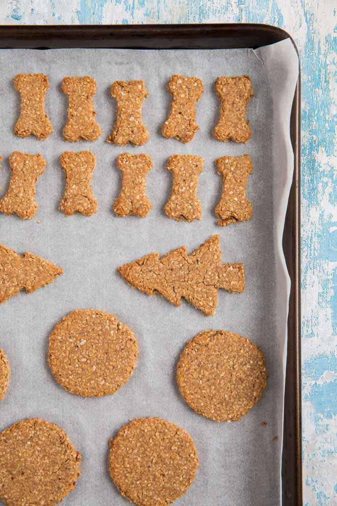 Just 5 ingredients are needed to make these super easy and healthy homemade grain free dog treats that your pup will love! #homemadedogtreats #dogbiscuits #grainfree #peanutbuttertreats | Recipe on thecookandhim.com