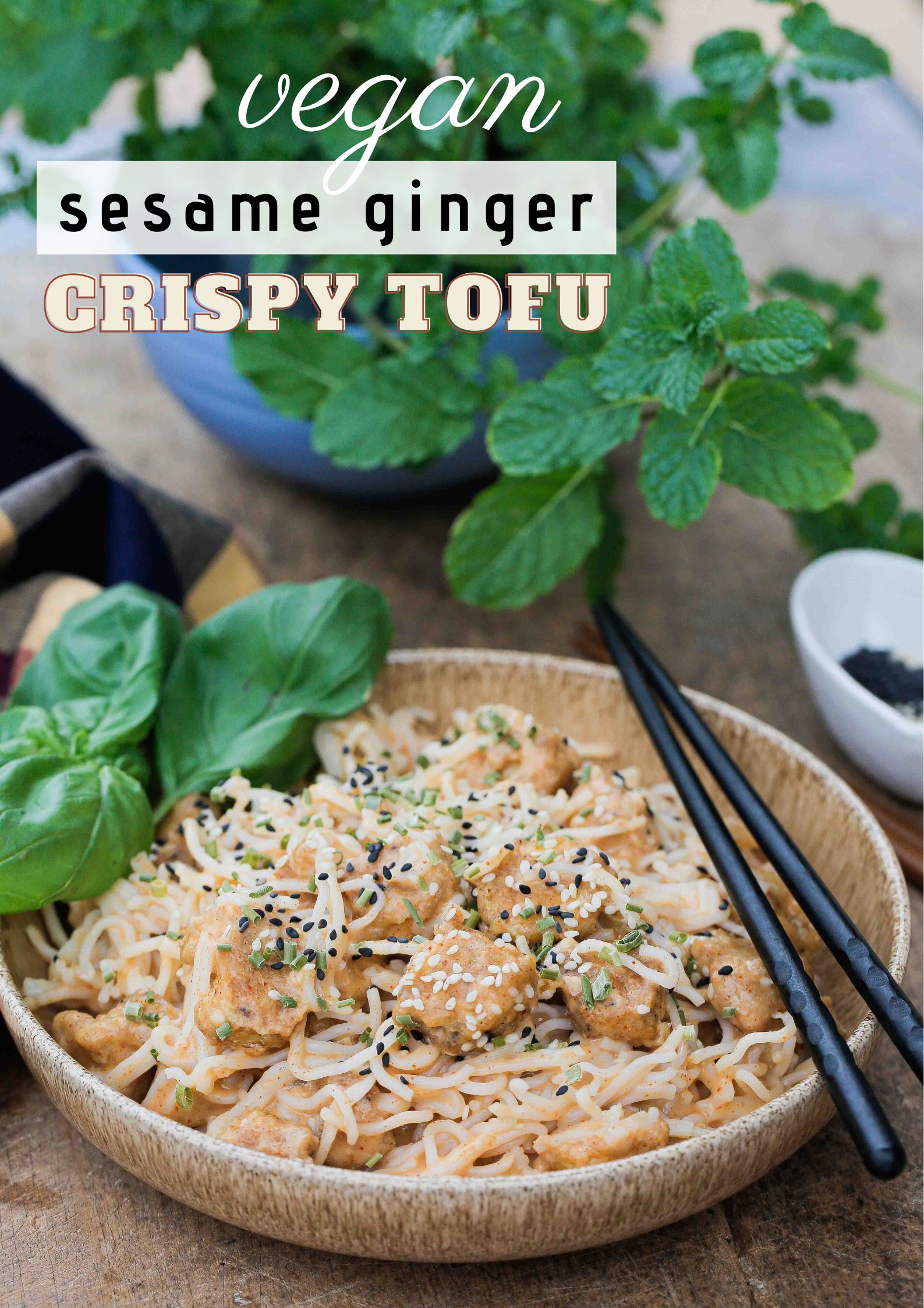 Fragrant and aromatic this sesame ginger crispy tofu is a deliciously easy Asian inspired meal packed with flavour and protein! Recipe on thecookandhim.com | #tofu #bakedtofu #crispytofu #tofurecipes #veganrecipes #veganmealideas