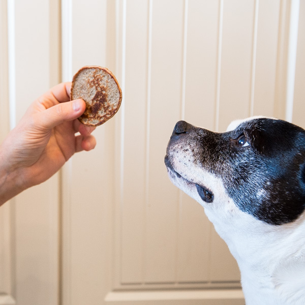 Spoil your furry friend with these doggy pancakes. Made with simple, healthy ingredients they're super easy and your pup will absolutely love these homemade dog treats! Recipe on thecookandhim.com | #homeamadedogtreats #doggypancakes #pancakesfordogs #healthydogtreats