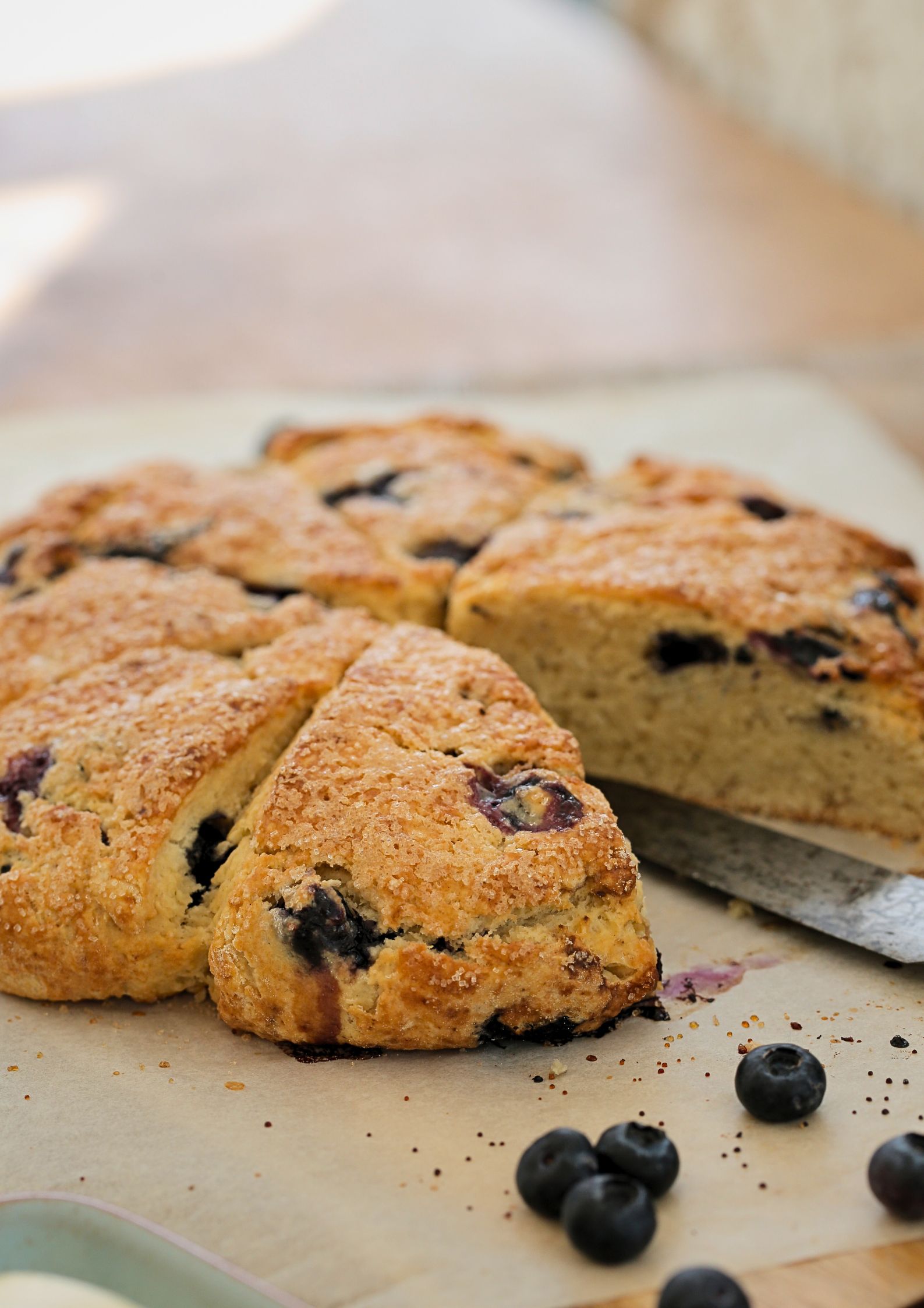The easiest blueberry scones, made in one bowl with a few simple ingredients. They have a wonderful sugary, crunchy top and are served with an easy homemade blueberry jam and whipped vegan cream for the perfect afternoon tea treat! #veganscones #blueberryscones #eggfree #blueberryjam