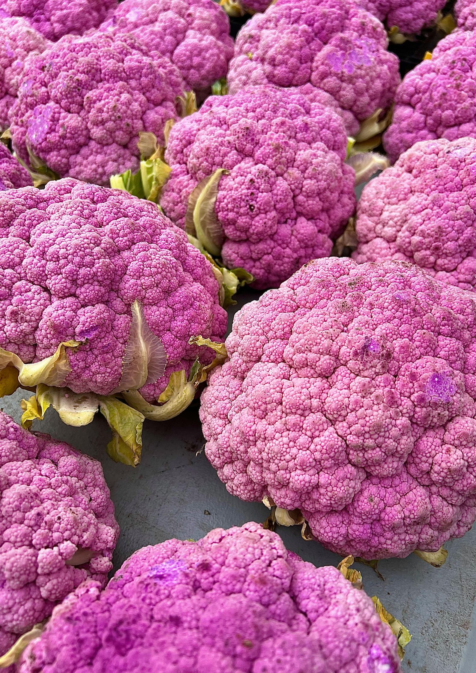 Seasonal Spotlight - Cauliflower